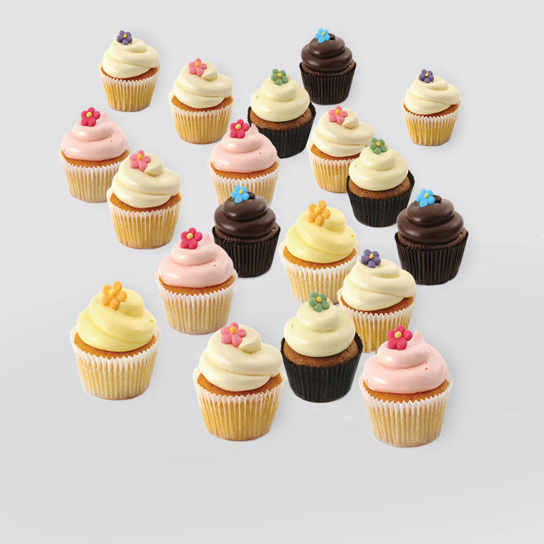 Mini cupcakes mix